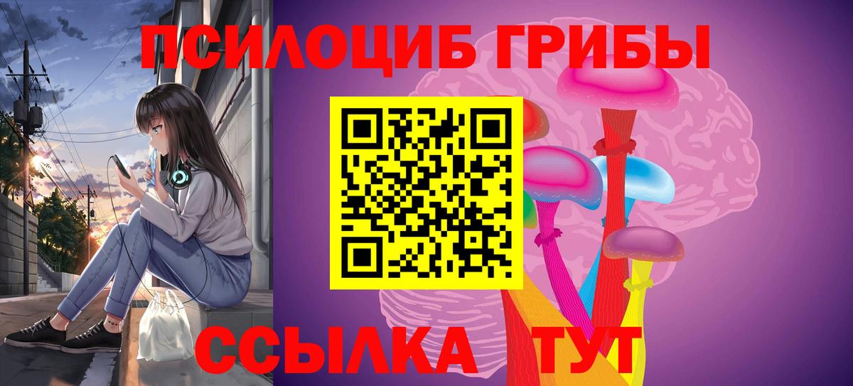 Галлюциногенные грибы Cubensis Саратов